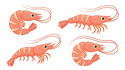 Obraz premium Collection of Fresh Pink Shrimp and Prawn Illustrations Ready for Delicious Culinary Recipes and Seafood Dishes