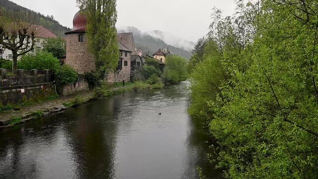 Static view of Thann river framed by trees with duck family on calm reflective water and medieval stone turret with slate roofs. Overcast spring sky with lush green foliage and traditional Alsatian