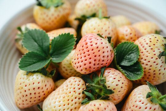 White pink strawberry, berry fruits in a bowl, abstract food background