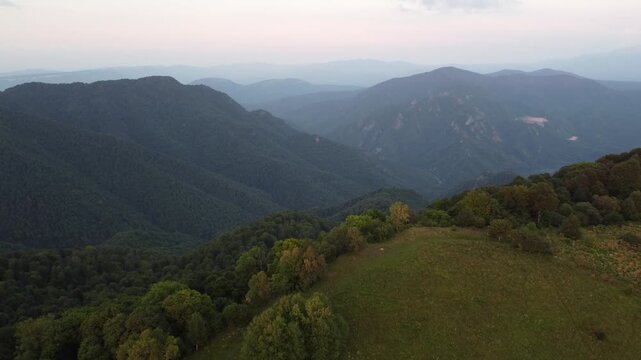 Layered mountains stretch into the misty distance. Lush green forests cover rolling hillsides. Grassy meadow frames the foreground's edge. Trees dot the landscape in varied shades of green