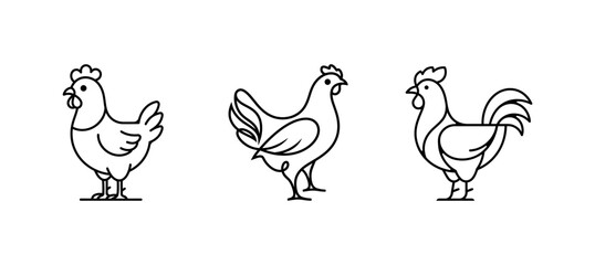 Obraz premium Three outline drawings of chicken on white background vector art.