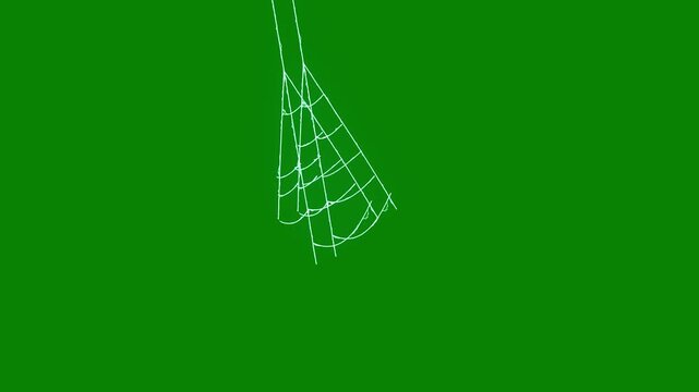 Spider web background, elegant animated cobweb with elastic silk strands, expanding and pulsing structure, Halloween horror visual effect, seamless loop, ultra hd 4k overlay