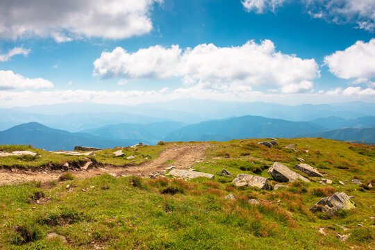 carpathian mountain landscape in august. scenic alpine terrain of ukraine in the afternoon. background image for hiking through chornohora ridge. popular travel destination