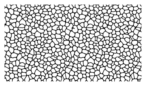 pebble stone pattern with organic mosaic cells in abstract texture style