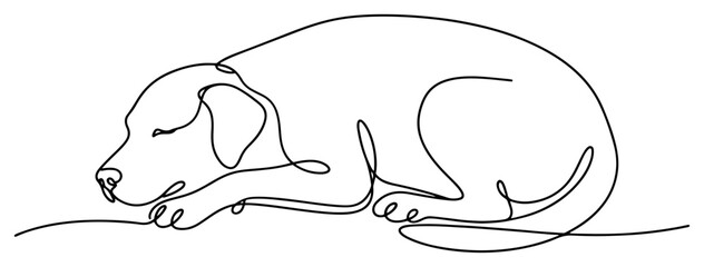 Sleeping dog continuous line art drawing of a retriever lying down minimalist style © Cristiano