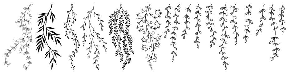 hanging vines set with trailing leaves and ivy branches in minimalist line art style © Cristiano