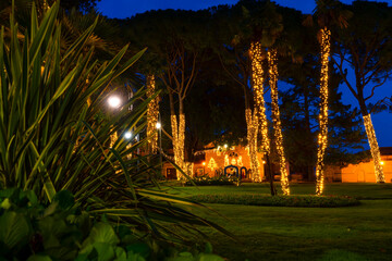 Naklejka premium Christmas lights decorating palm trees and park in Opatija, Croatia at night