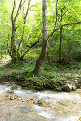 Fototapeta premium summer period - granite canyon of a mountain river, walking along a stone riverbed, rapid flow of water, close-up