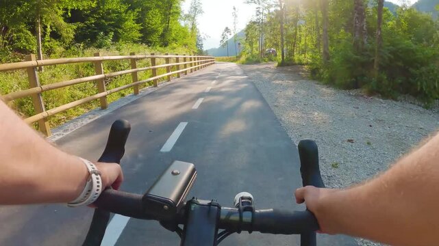 POV of cyclist riding on asphalt bike path at sunset in summer. Slovenia. First person view of male hands on bicycle handlebar cycling on road, wooden fence, river, green forest. Active sport outdoor