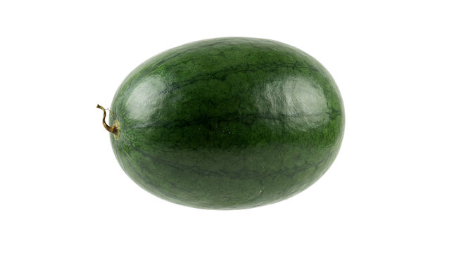 Large Whole Green Watermelon Isolated on Pure White Background Refreshing Summer Fruit Healthy Organic Vegan Food Snack