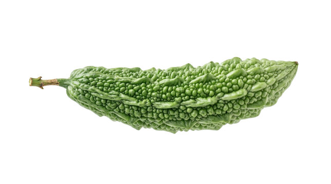 Fresh Whole Green Bitter Melon or Bitter Gourd Isolated on White Background, Healthy Organic Bumpy Skin Vegetable.