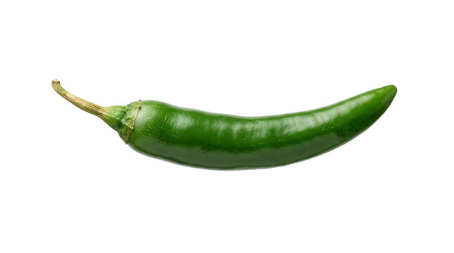 Single Fresh Green Chili Pepper Isolated on White Background, Organic Spicy Serrano Pepper for Cooking and Food Design
