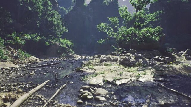 muddy riverbed strewn with logs and stones under bright sun, textured sediment and glinting puddles, ideal for trail runner route visuals or ranger floodplain