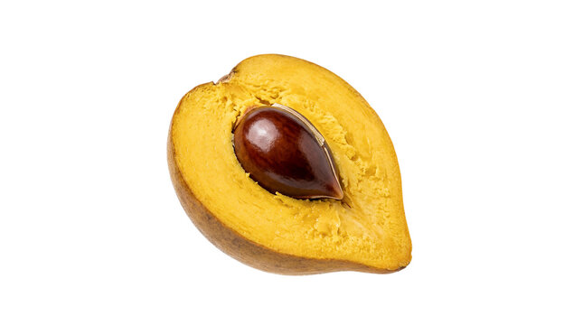 Fresh Half Ripe Canistel Fruit or Yellow Sapote with Brown Seed Isolated on White Background Healthy Exotic Eggfruit