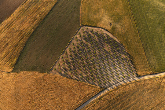 Aerial view of patchwork farmland near Guadalajara, Spain