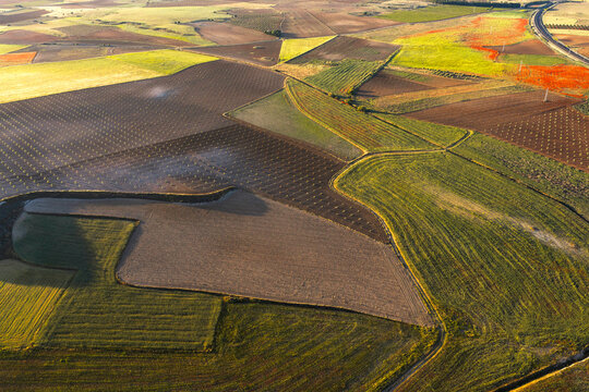 Aerial mosaic of farmland fields near Guadalajara at sunset
