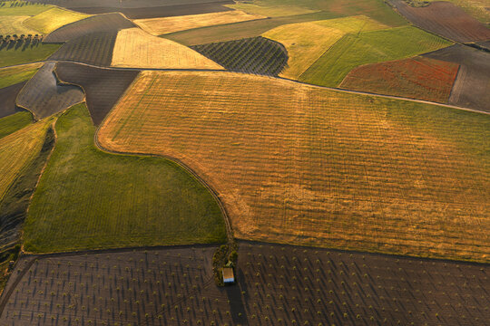 Aerial patchwork farmland landscape near Guadalajara at sunset
