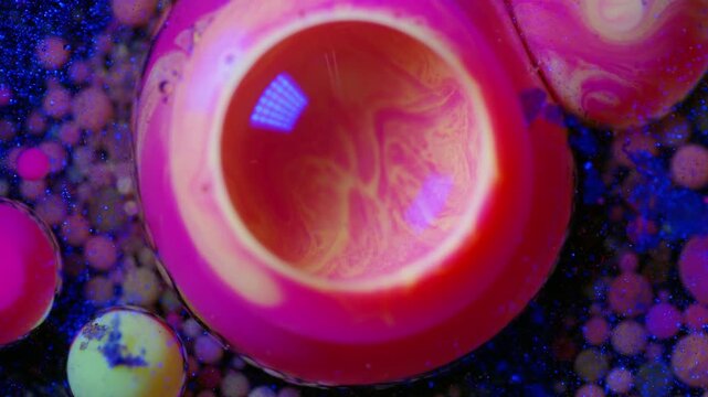 4K Pink Blue Liquid Abstract Background Animation. Alcohol Ink Fluid Art with Cellular Texture and Metallic Ink.