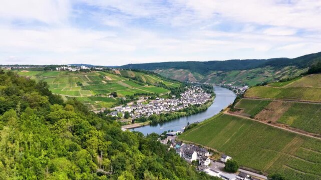 Drohnenvideo der Moselschleife bei Zell mit steilen Weinbergen, charakteristischen Schieferd&auml;chern, Br&uuml;cken und dem Flussverlauf an einem sonnigen Sommertag in Rheinland-Pfalz.