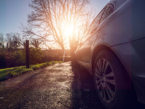 Sunlight glows behind bare tree as car parked in house backyard. Warm summer time vibe and mood.
