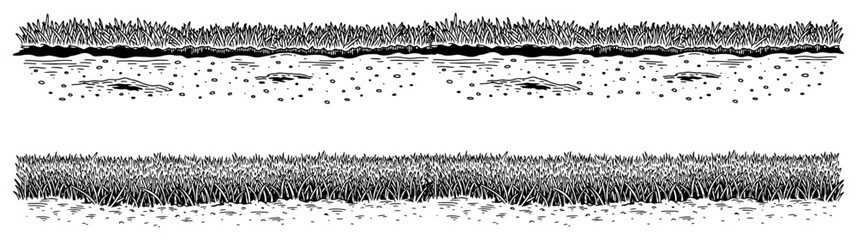 Grass field borders and meadow vegetation in vintage engraving style © AnjaliDesai