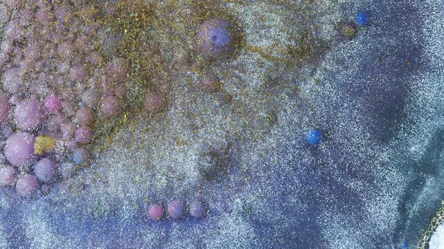4K Purple Gold Liquid Abstract Background Animation. Metallic Alcohol Ink with Luxury Glitter Texture.