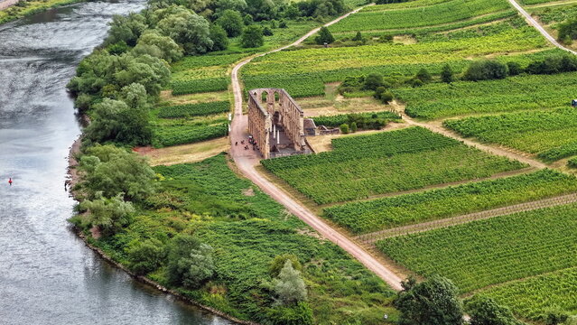 Luftaufnahme der Klosterruine Stuben inmitten von gr&uuml;nen Weinbergen an einer Flusskehre der Mosel bei Bremm an einem bew&ouml;lkten Sommertag.