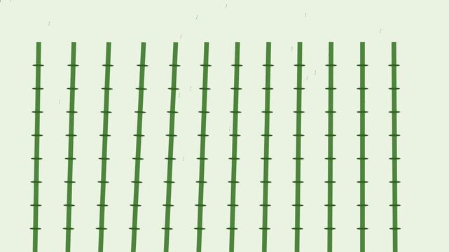 Minimalist green bamboo forest pattern motion animation 4k background, with floating particles nature