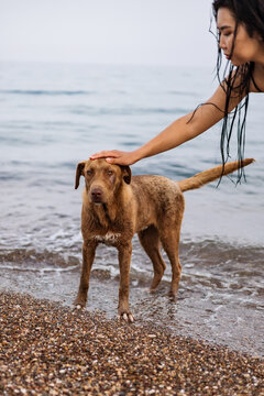 Woman gently pats a dog on a serene beach