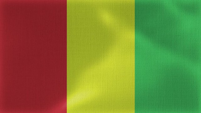 Guinea Flag Animation With Fabric Texture