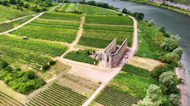 Detailreiche Drohnenaufnahme der historischen Klosterruine Stuben bei Bremm, umgeben von gr&uuml;nen Weinbergen mit Ausfl&uuml;glern und Fahrr&auml;dern auf dem Vorplatz.