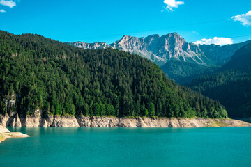 Fototapeta premium Turquoise alpine lake surrounded by forest and mountains in the Dolomites, Italy
