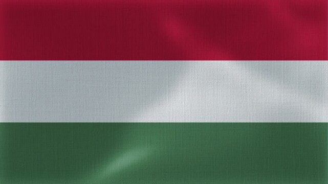 Hungary Flag Animation With Fabric Texture