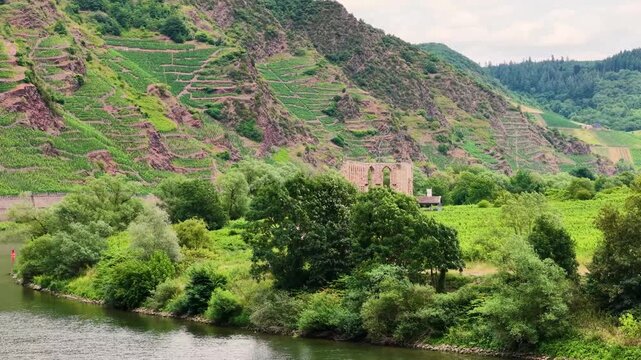 Detailreiche Drohnenaufnahme der historischen Klosterruine Stuben bei Bremm, umgeben von gr&uuml;nen Weinbergen mit Ausfl&uuml;glern und Fahrr&auml;dern auf dem Vorplatz.