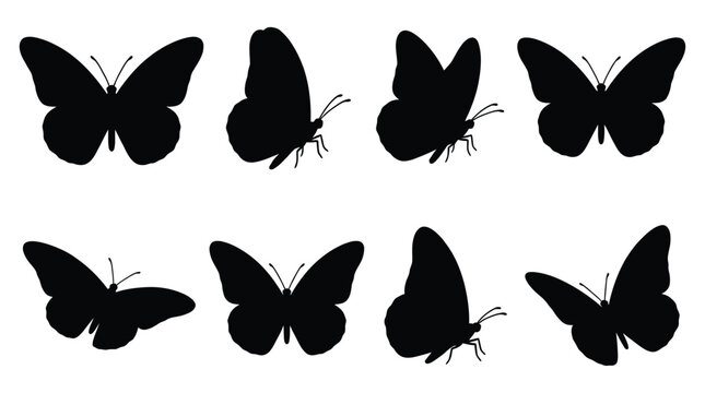 Butterfly silhouettes on a white background vector illustration set