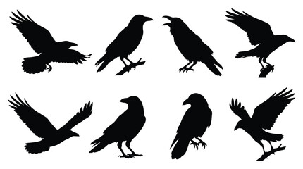 Naklejka premium Raven Silhouettes In Various Poses Black Vector Illustration On White Background