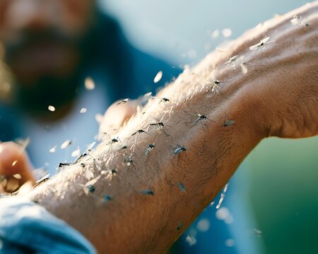 Macro shot of dozens of mosquitoes swarming and biting a man's hairy arm outdoors, symbolizing environmental hazards, infestation, vulnerability, and pest annoyance.