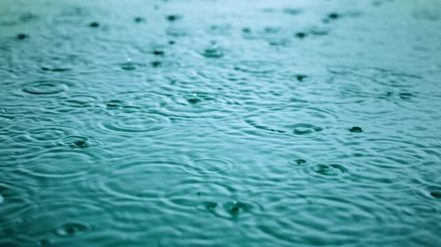 Rain falling on water creates mesmerizing circular ripples expanding across teal surface in slow motion. Droplets splash and bounce creating intricate wave patterns in this calming rainy day scene.