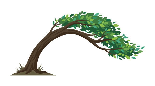 Strong Windswept Tree Illustration with Bending Trunk and Dense Green Leaves Isolated on White Backdrop Design