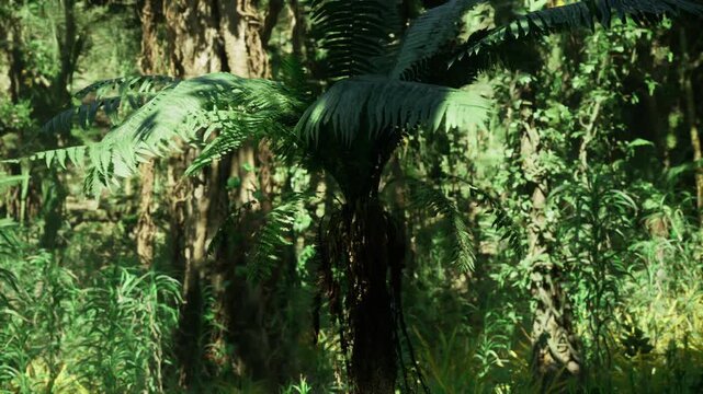 Majestic koh samui tree fern trunk with broad radiating fronds, textured bark detail, close botanical study, dappled light, ancient plant presence