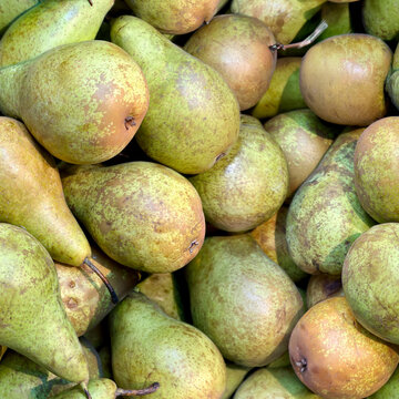 Seamless Pattern of Pile of Ripe Green Pears Top View Background Textures