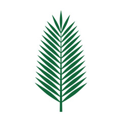 Green palm leaf silhouette, simple vector element for tropical designs, nature motifs, and summer themes © PPS