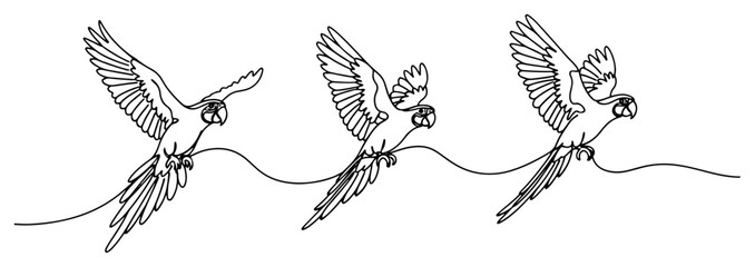 Macaw parrots flying together in a row in continuous line art style © Kumamoto