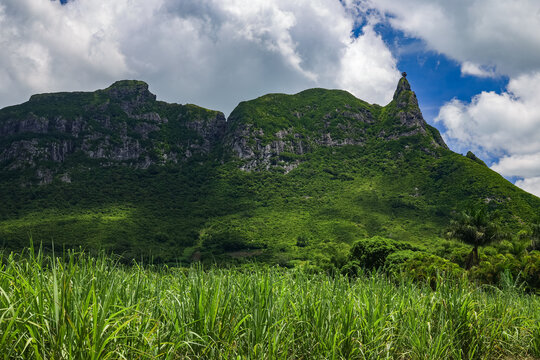 Scenic image of a Sugar cane field near Moka Range mountains on Mauritius island, Africa	