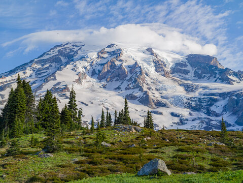 Snow-capped Mount Rainier with evergreen trees and alpine meadow