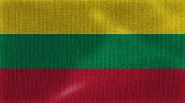 Lithuania Flag Animation With Fabric Texture
