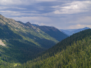 Fototapeta premium Mountain range with pine forest and cloudy sky in Washington