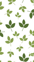 Obraz premium Green Leaves White Background.
