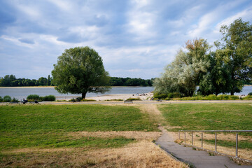 Fototapeta premium Scenic view of the green Rhine meadows, sandy beach, and large trees at the Cologne Riviera in Rodenkirchen, Germany, with stairs in foreground.