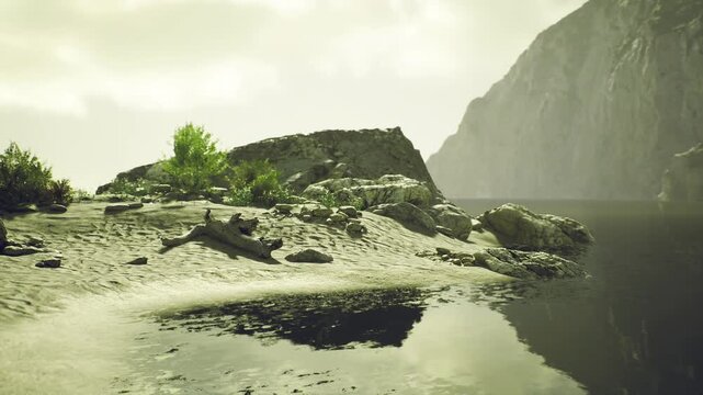 Small resilient tree growing on rocky bluff by calm fjord, mossy stones and scattered shrubs, gentle reflection in shallow pools, sustainable retreat vibe